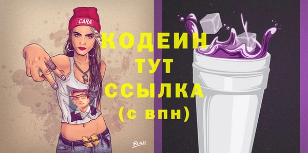 прущие грибы Рославль