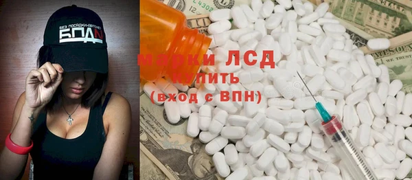прущие грибы Рославль